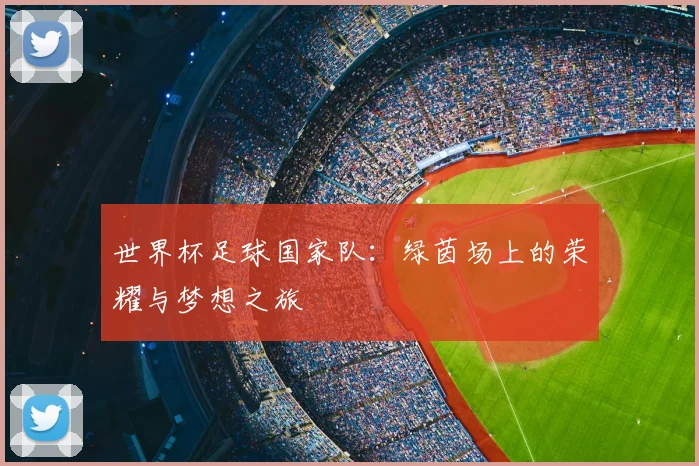 世界杯足球国家队:绿茵场上的荣耀与梦想之旅