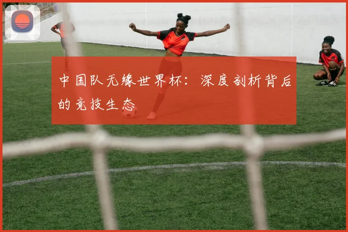 中国队无缘世界杯：深度剖析背后的竞技生态