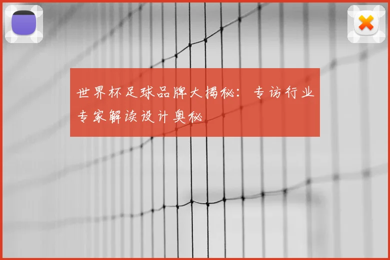 世界杯足球品牌大揭秘:专访行业专家解读设计奥秘
