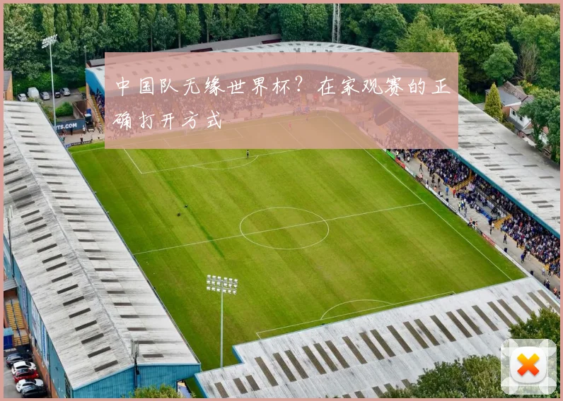 中国队无缘世界杯？在家观赛的正确打开方式