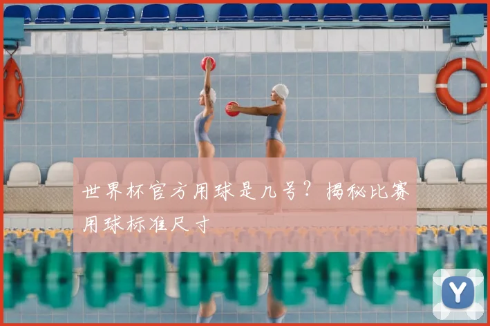 世界杯官方用球是几号？揭秘比赛用球标准尺寸