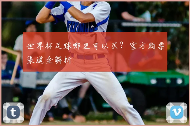世界杯足球哪里可以买?官方购票渠道全解析